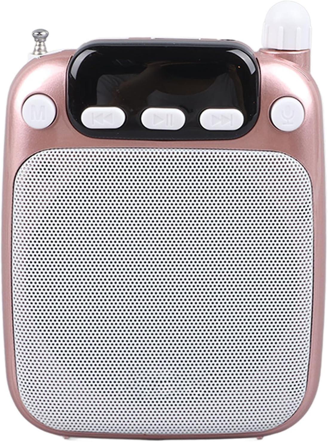 Portable Rechargeable Mini Voice Amplifier, 10W Mini Pa System with Bluetooth Function, 2200mAh Wire
