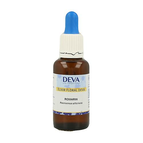 Rosemary - Dropper 30 ml of floral elixir