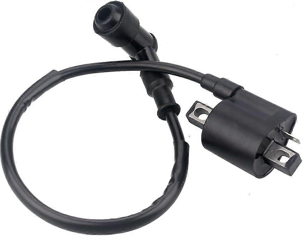 Bobina per 50cc 90cc 110cc 125cc 150cc 200cc 250cc ATV Quad Dirt Pit Bike Scooter Buggy Moto Go Kart