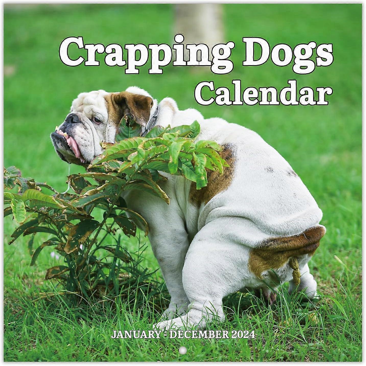 2024 Wall Calendar 12 Monthly Pooping Dogs Calendar 2024, Jan 2024 - Dec 2024, Funny Dog , 11.8" x 23.6" (Open), 11.8" x 11.8"(Closed)