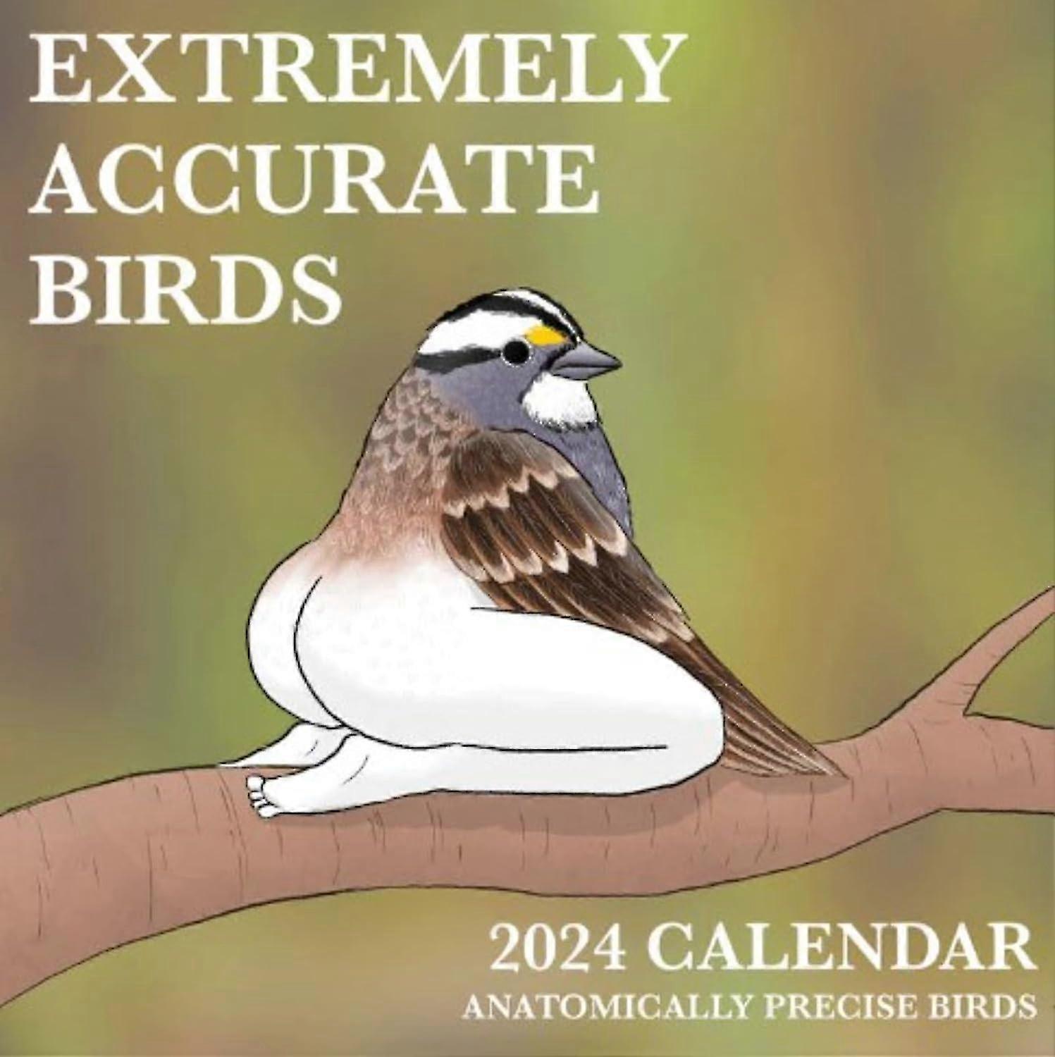 Calendrier 2024 d’oiseaux extrêmement précis Calendrier des oiseaux 2024 Calendrier mural