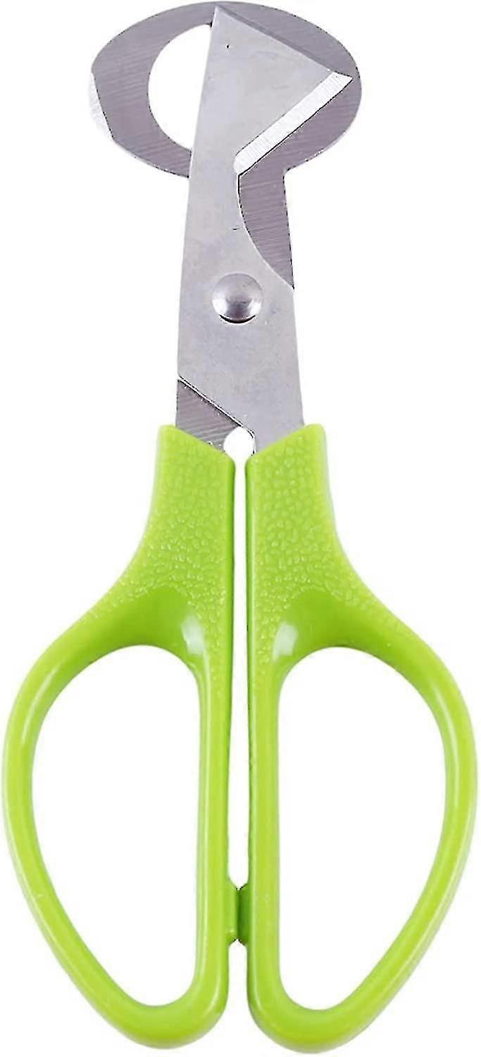 Stainless Steel Egg Shears Scissors