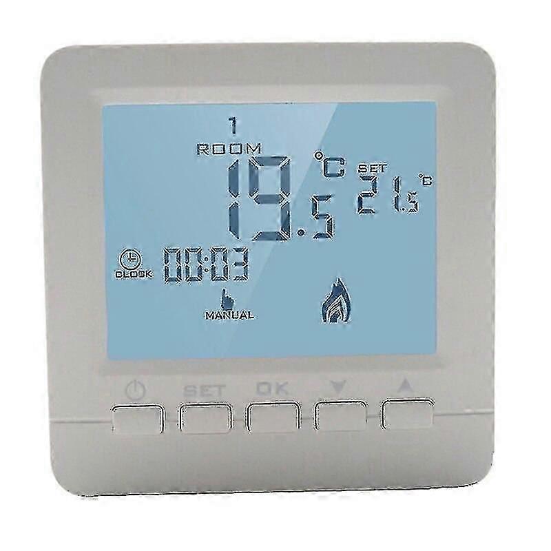 Hy02b05-2bw Instrument And Meter Programmable Wall-hung Boiler Thermostat Temperature Controller