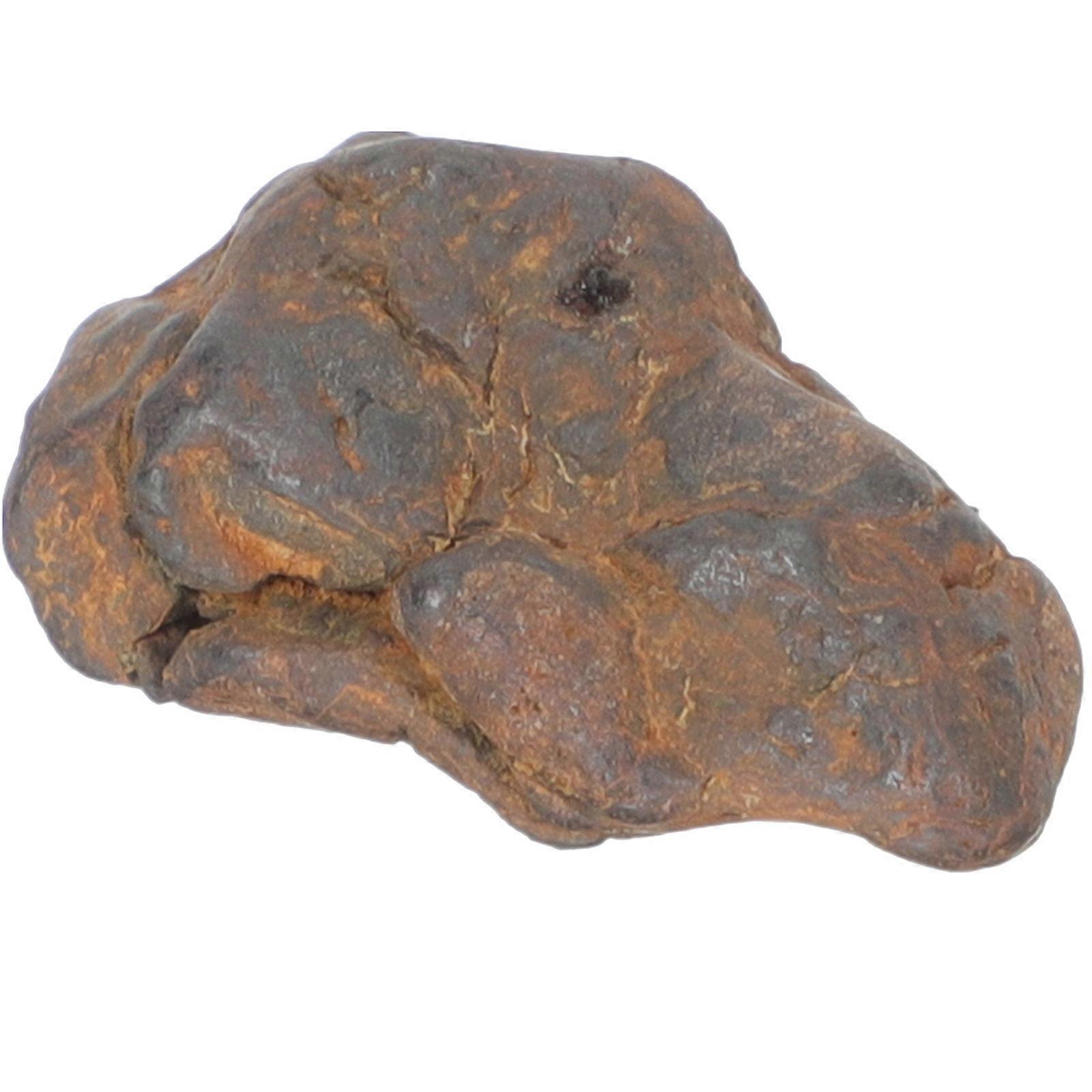 Meteorolite Model Science Classroom Specimen Table Ornament 2.5x1.5cm Multi Irregular Natural Gift 1Pcs