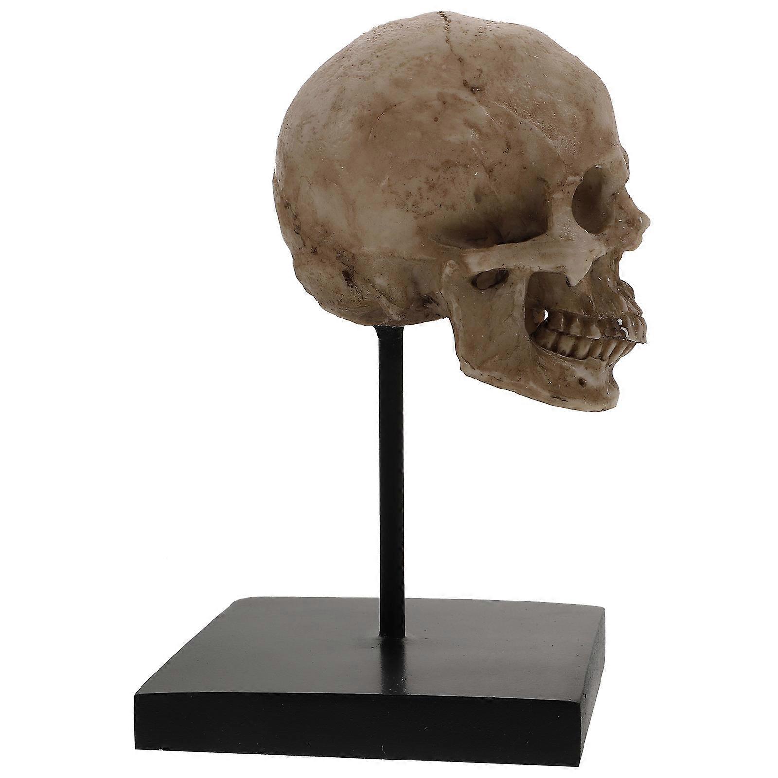 Artificial Scary Skull 1Set Halloween Decorative Prop 16.5x10cm Unique Multi Color Realistic & Party Accent