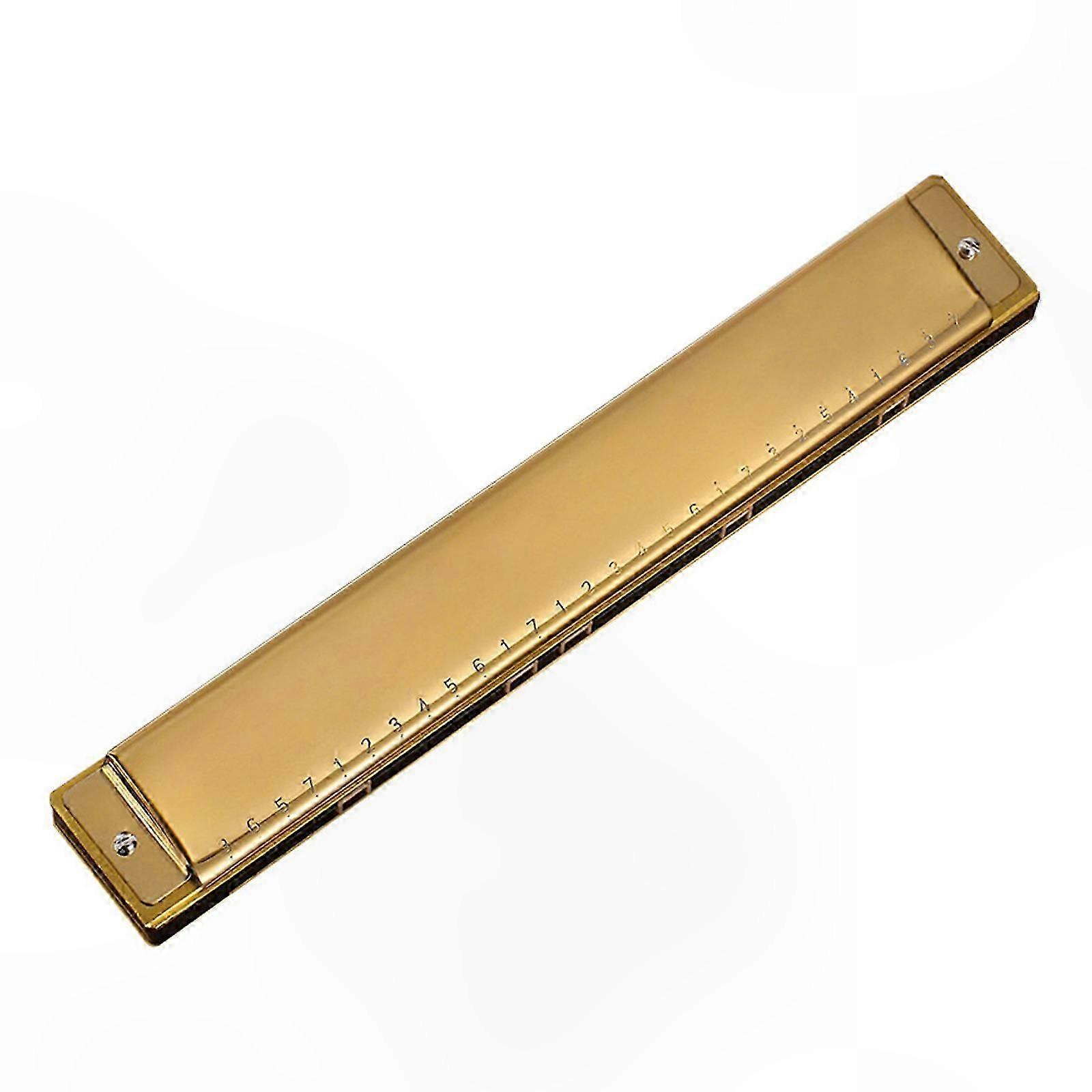 28-Hole Polyphonic C Harmonica with Case, Ideal for Beginners and Professional Musicians, Perfect Gift for Music Enthusiasts
