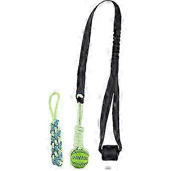 Hanging Tree Tug Toy,Bungee Dog Toy, Interactive Tether Tug Toy with 3Pcs,Exercise Play Rope, for Small/Medium Dogs