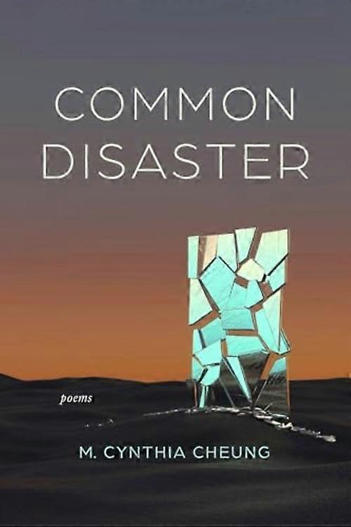 Disastri comuni: poesie
