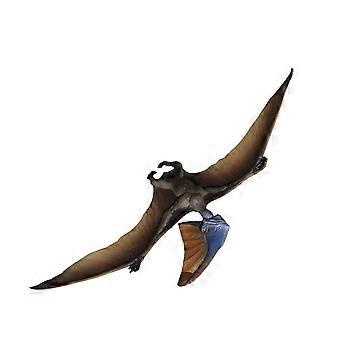 Pterosauruksen malli Archaeopteryx kiinteä dinosaurusmalli simulaatio dinosaurusmalli eläinhahmo opetuslelu lapselle