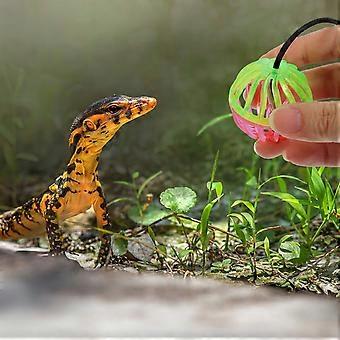 Accessori per terrario per rettili, giocattolo per lucertole, palla, campanellino, animale, lucertole, terrari, graziosi 7 pezzi