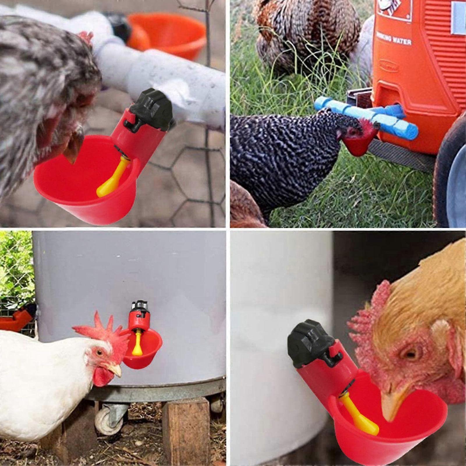 Automatic Poultry Waterer Duck Chicken Cup Set with Secure Mounting Design and Quick Installation