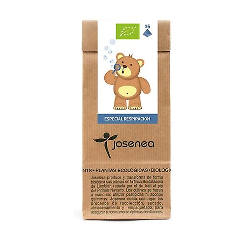 Special kids happy breathing Bio 15 pyramids