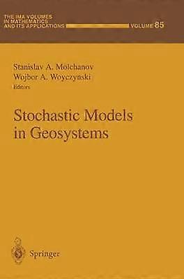 Stochastic Models in Geosystems