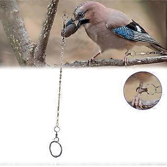 Stainless Steel Training Harness for Parrots and Birds (Agapornis)