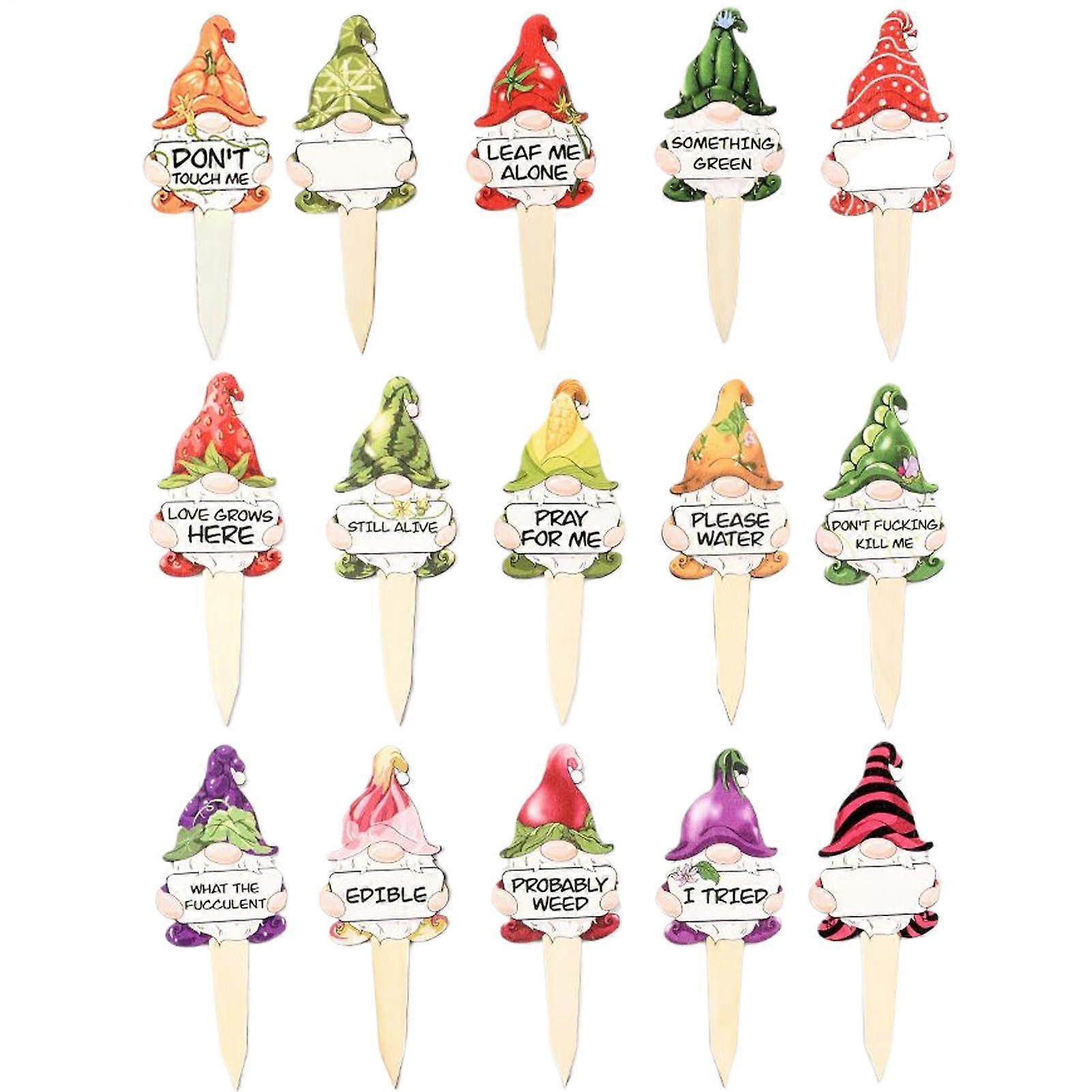 Plant Marker Set with 15 Weatherproof Succulent Pots and Funny Dwarf Labels for Gardening and Raised Beds