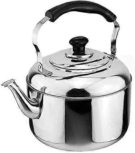 Herdkessel TeaPots for stove top camping kettle creativity restaurants teapot