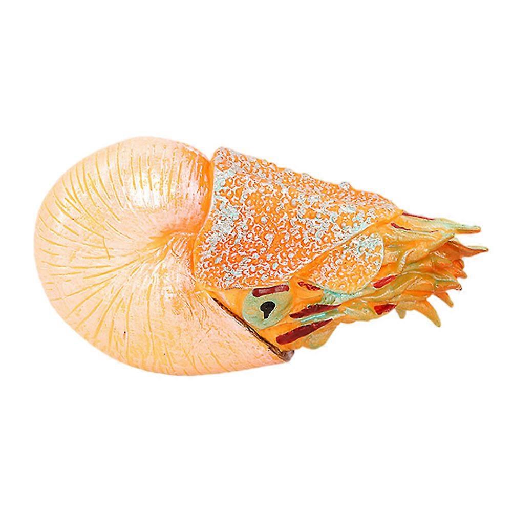Simulation Animal Model Plastic Nautilus Model Shopping Mall Display 4X6X10.2CM Educational Toy 1Set
