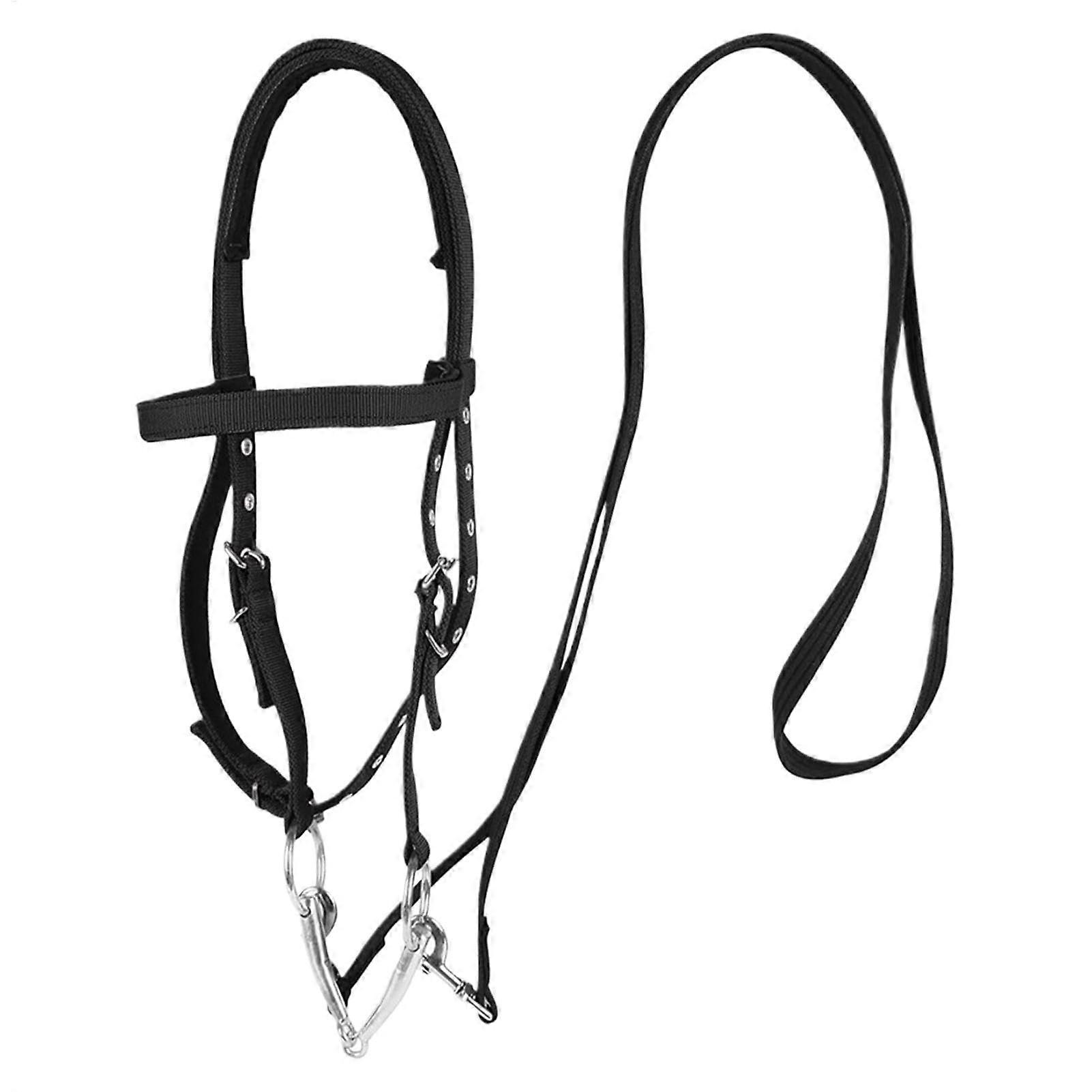 Adjustable Horse Halter with Throat Latch, 3 Buckles, Thick Plated Equestrian Training, Durable Horse Bridle Accessories
