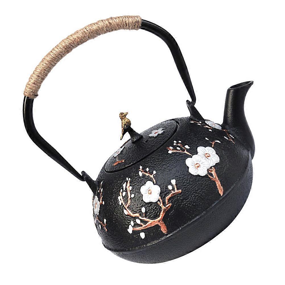 Iron Teapot Kitchen Water Boiling Kettle for Home Use 2Pcs Set