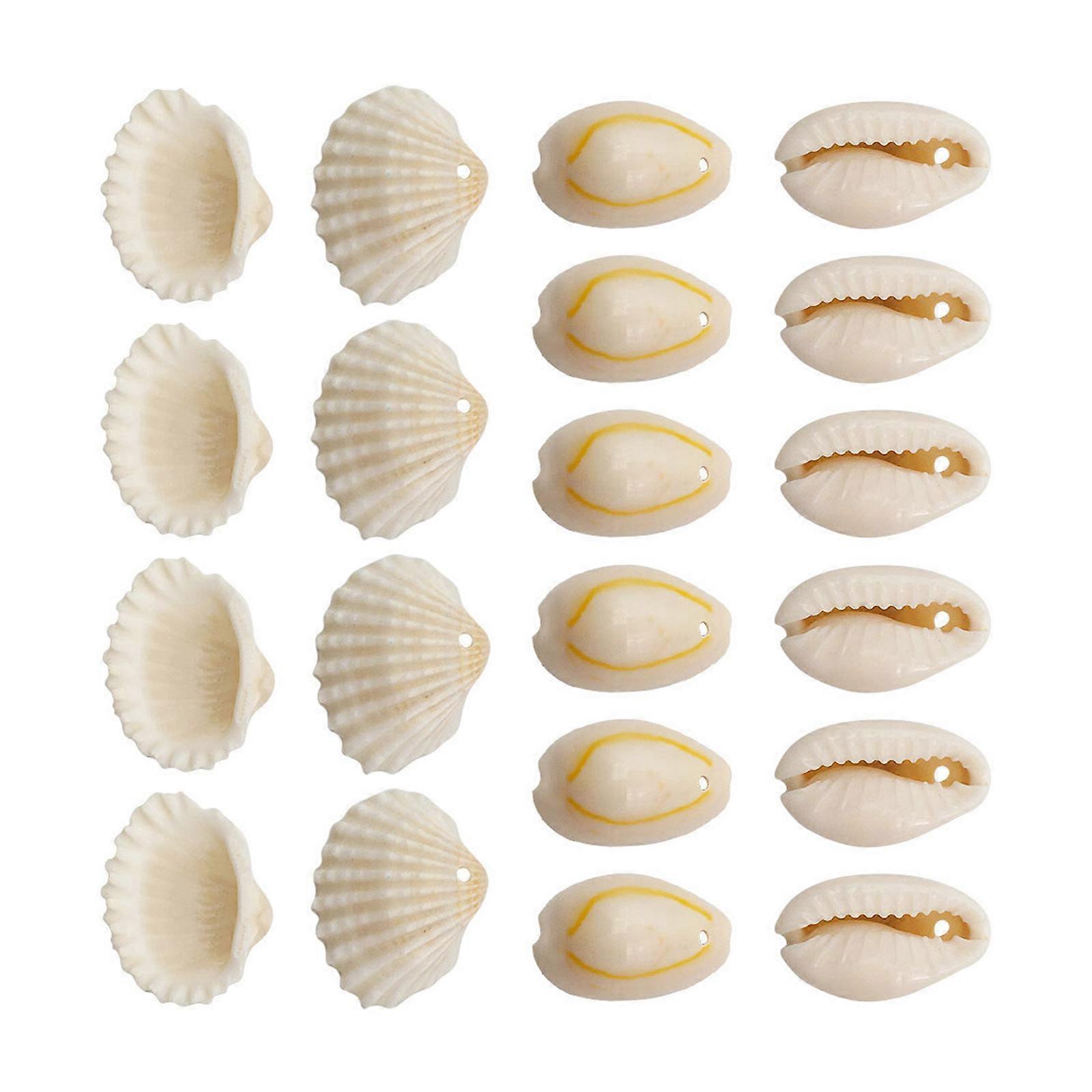 1 Set Craft Shells Natural Shell Beads Beach Conch Shells for DIY Jewelry Making and Crafting Multicolor