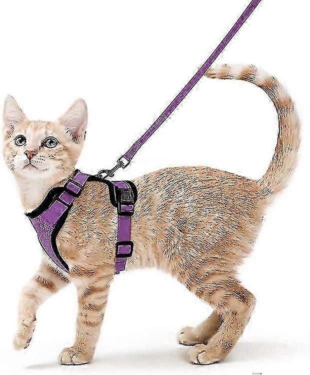 Cat Harness With Leash Escape-proof Cat Leash Kitten Adjustable (xs-s)