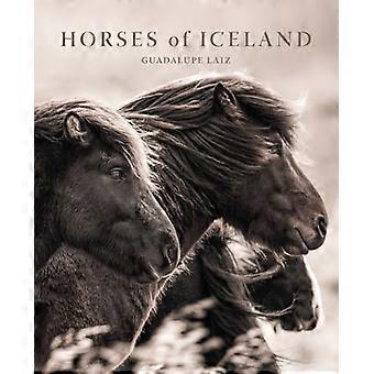 Horses of Iceland