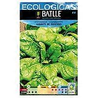 Winter Giant Spinach Seeds 1 packets