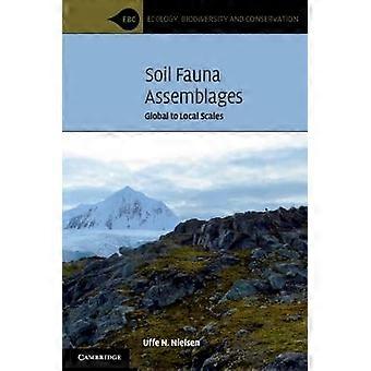 Soil Fauna Assemblages
