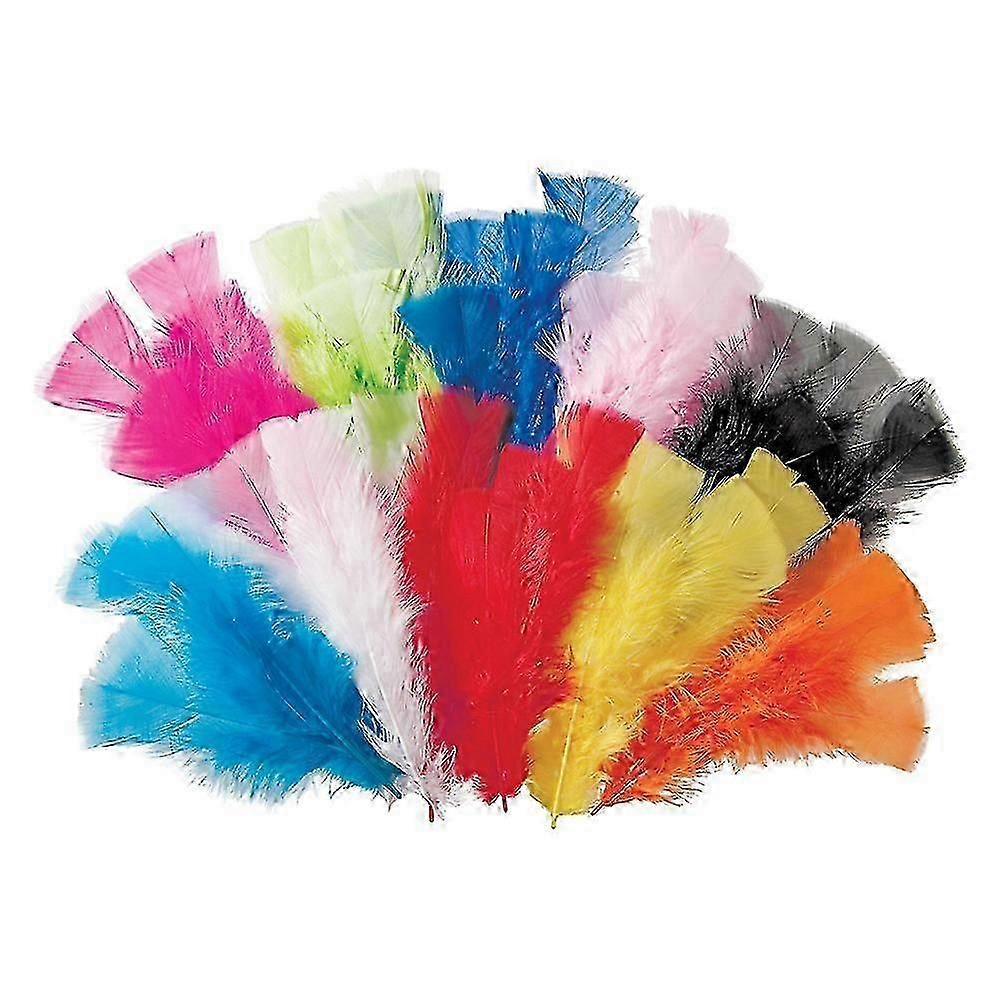 Creative School Supply Feathers 60g 240pcs