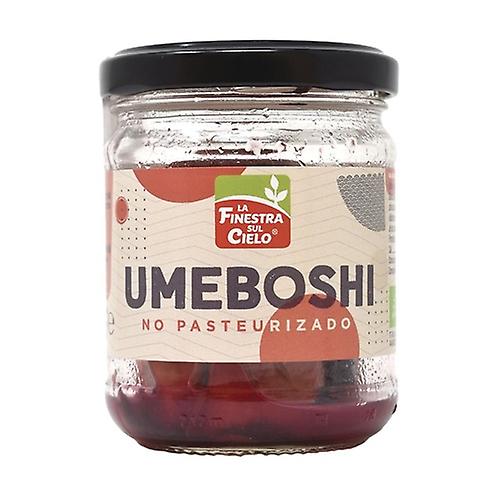 Umeboshi Ryujin Bio 100 g