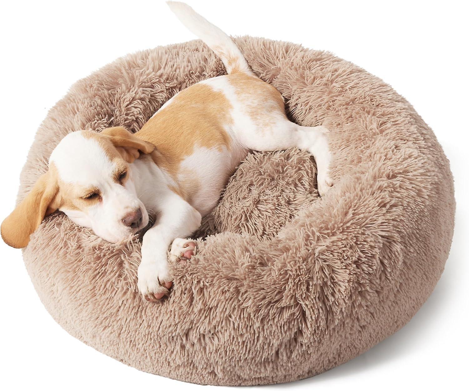 Calming Dog Bed for Small Dogs - Washable Small Pet Bed