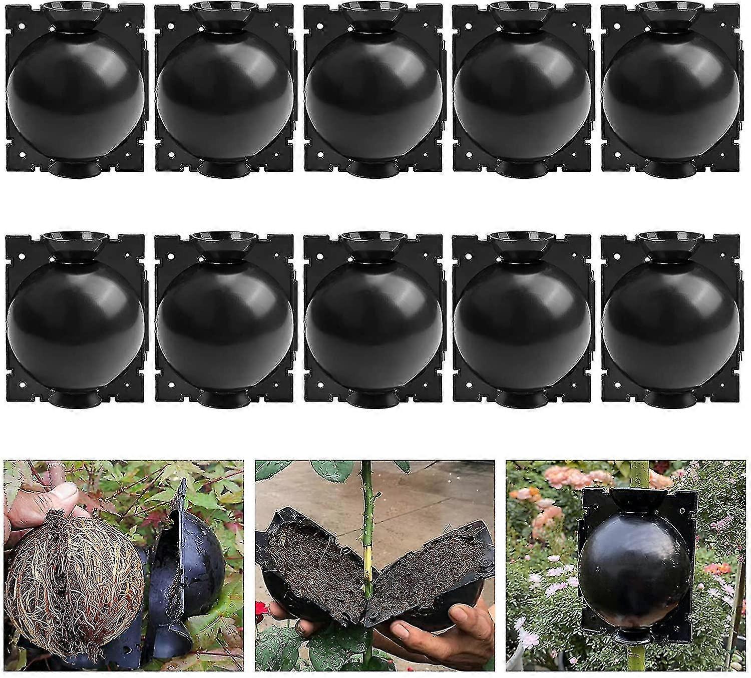 10 Pack Plant Rooting Deviceplant Root Growing Box For Plant Propagation Reasable Propagation Rooting Ball