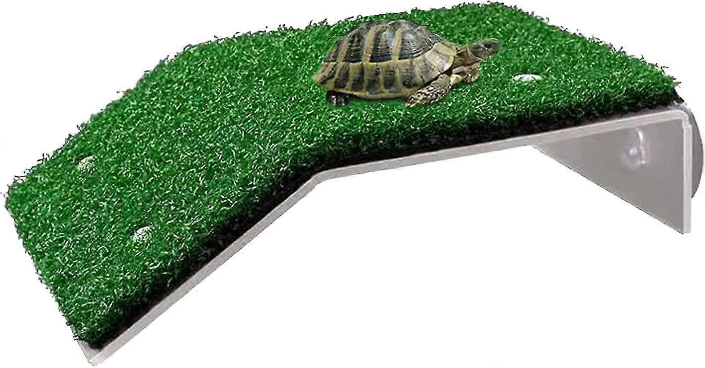Turtle Aquarium Simulation Lawn Turtle Resting Platform Reptile Ramp Turtles Frogs