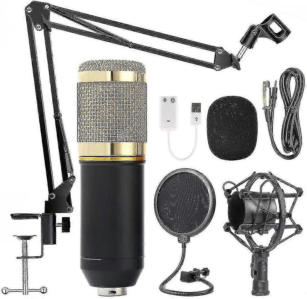Microphone Recording Microphone Kit