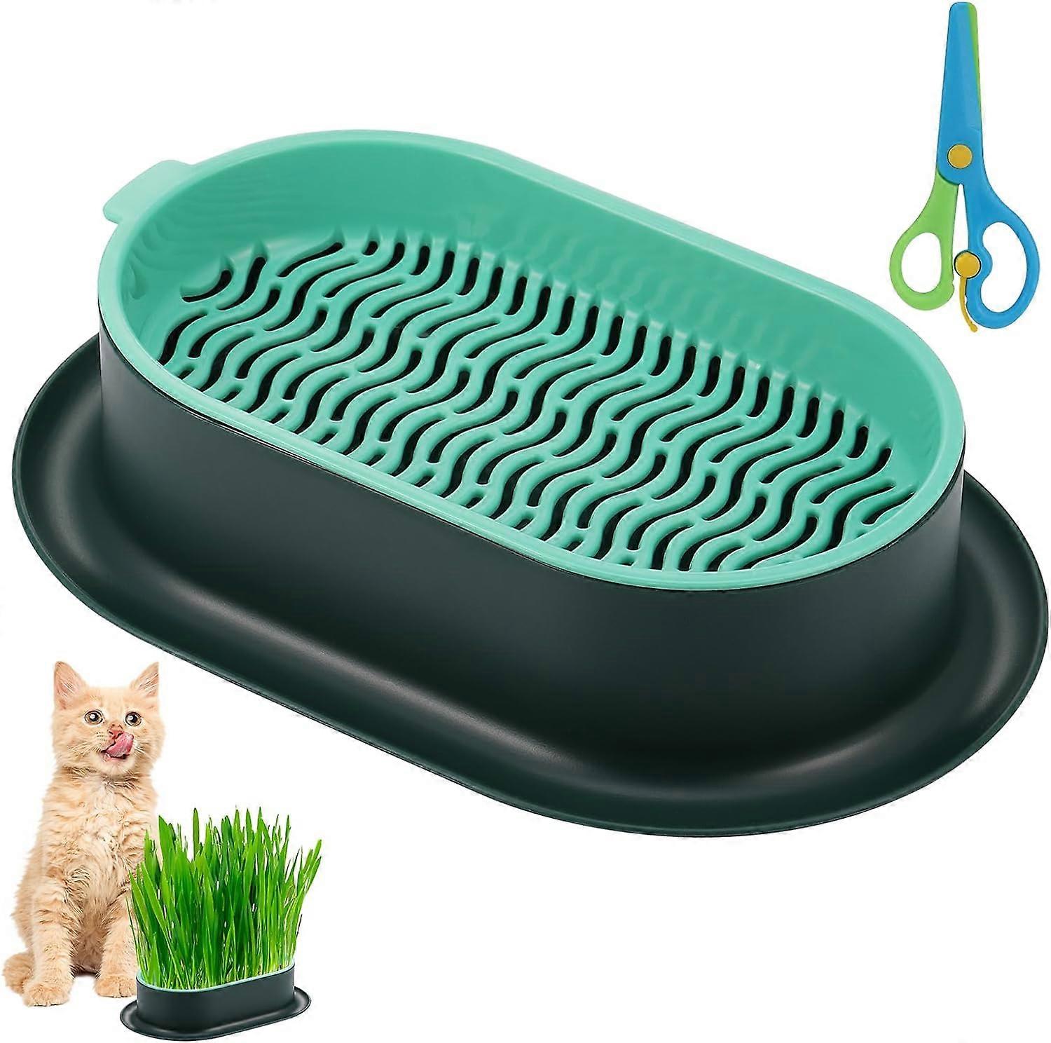 Cat Grass Seed Tray, Plant Bowls for Cat Grass, Catnip Cat Grass Box, Plastic Soil Free Cat Plant Planting Box for Planting Cat Grass