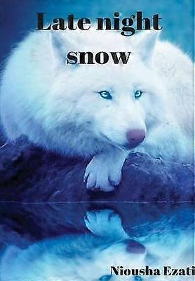 Late Night Snow