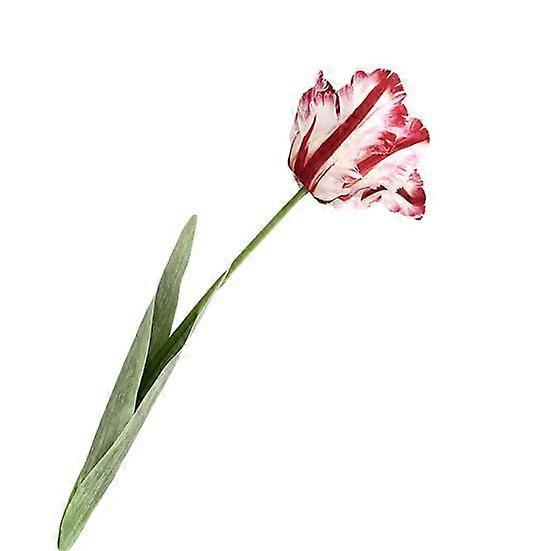 1Pc Artificial Flower Vivid Decorative 68cm 3D Parrot Tulip Real Touch Fake Flower Decor for Home