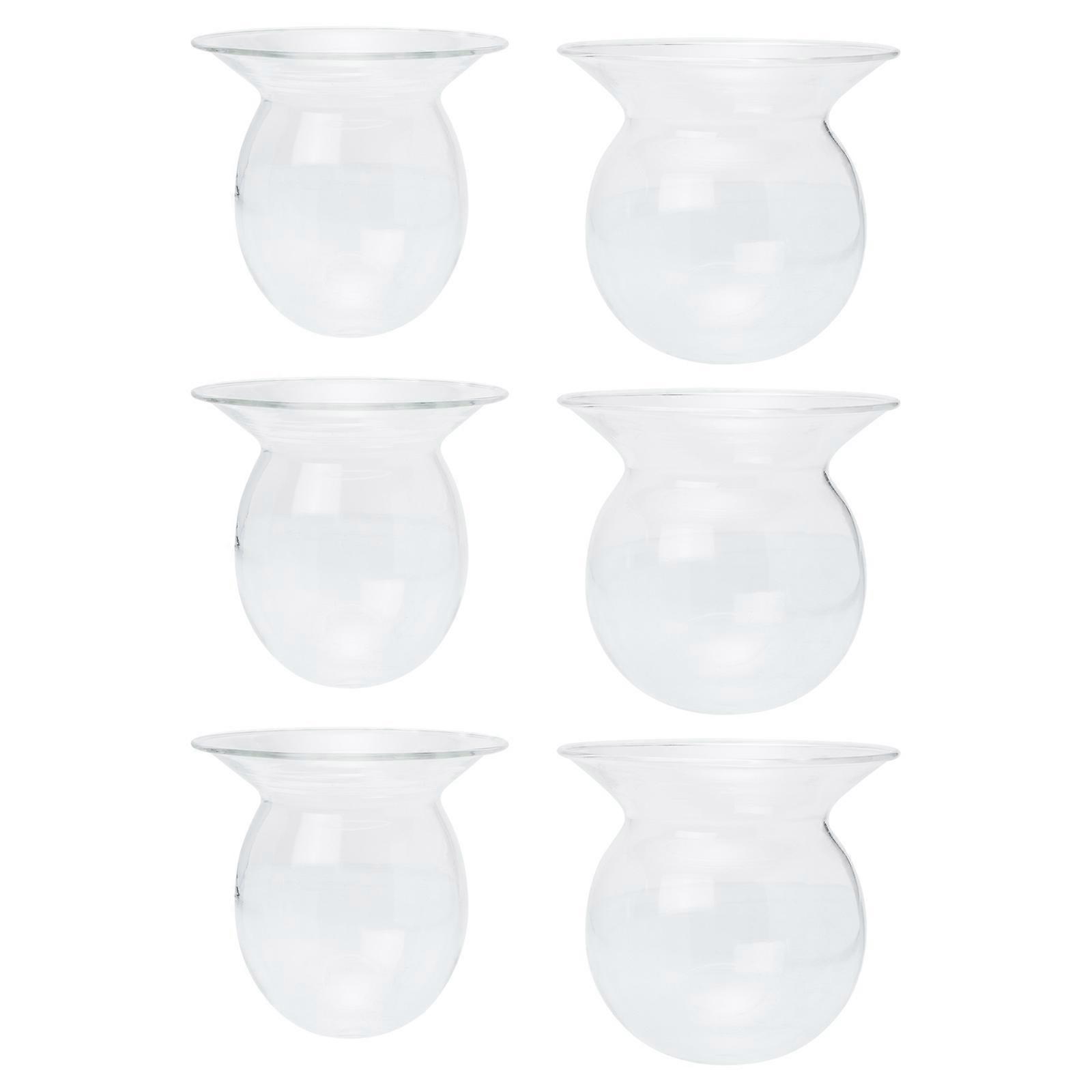 6pcs Hydroponic Flower Vase for Decor Made of Glass Transparent and for Use