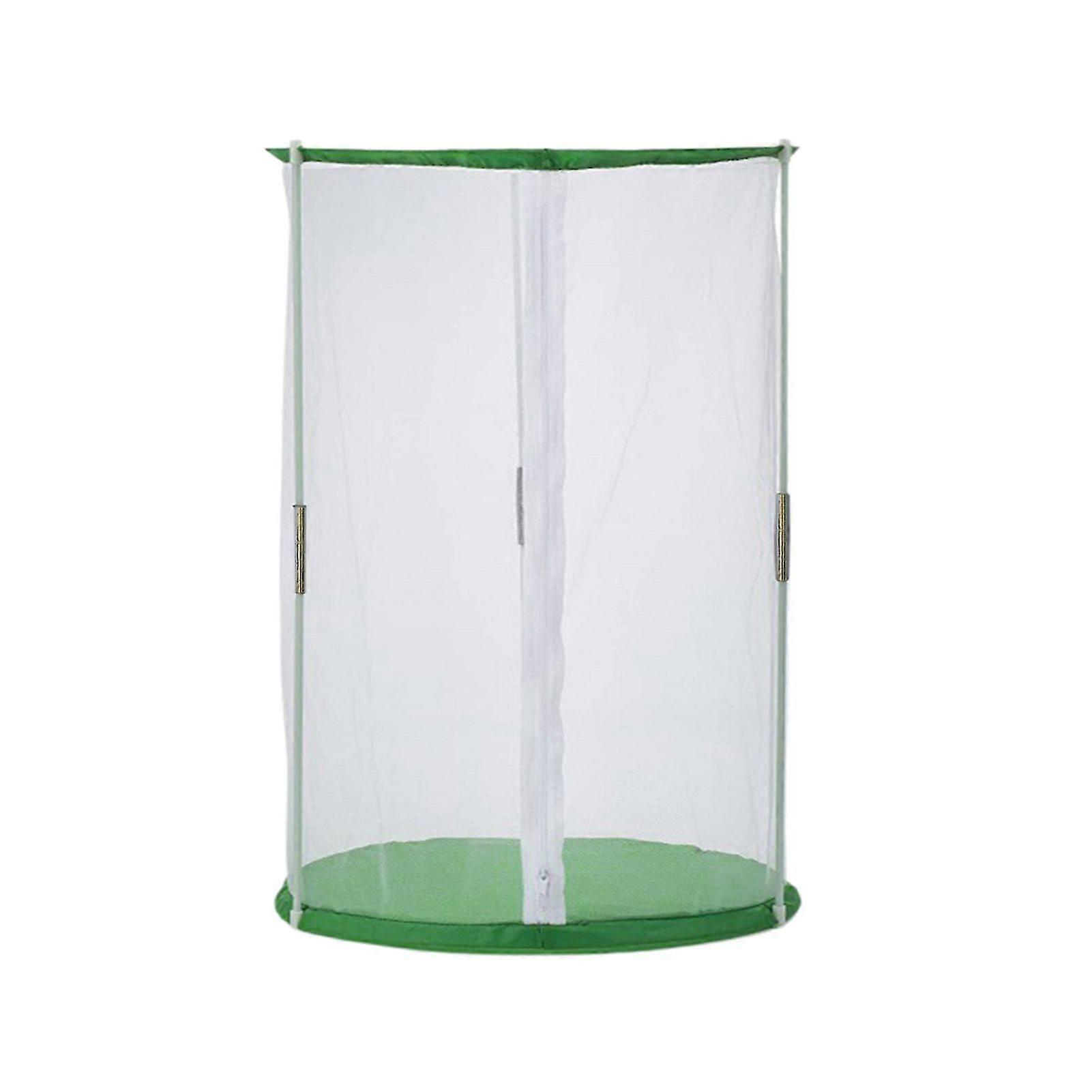 Habitat de borboleta Mini estufa para observação interna e externa Gaiola de forma cilíndrica reutilizável resistente com malha visível