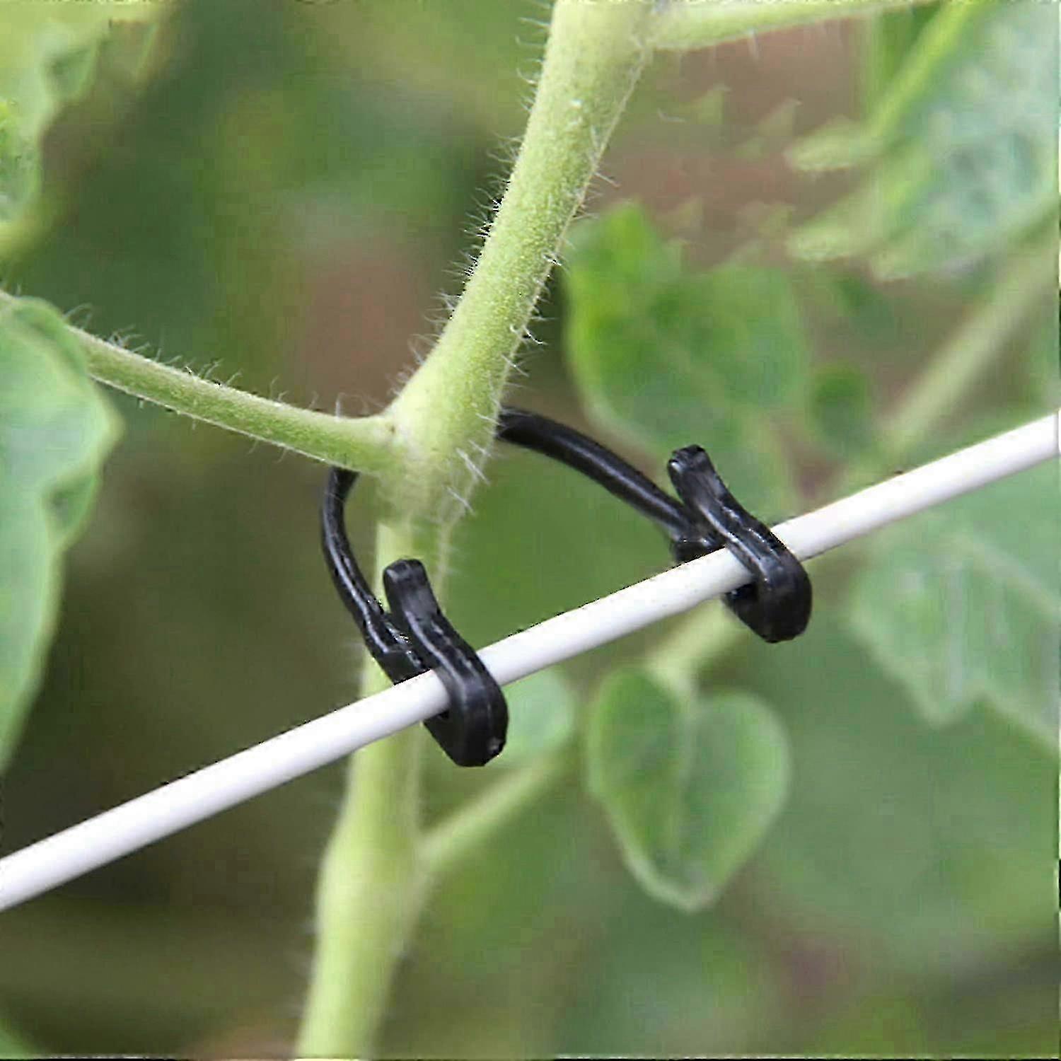 Vine And Garden Plant Clips 200 Pack