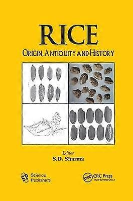 Rice