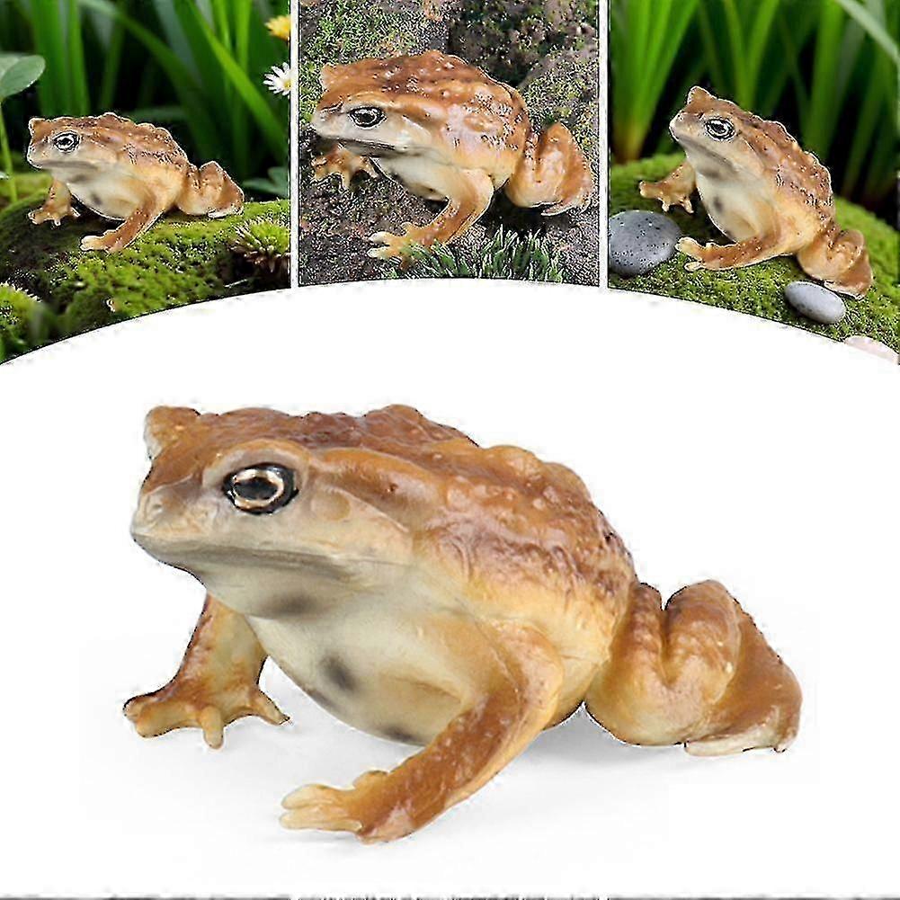 Realistic Solid Frog and Toad Animal Figurines Model Educational Toy