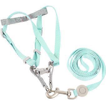 Cat Leash and Harness Kit for Outdoor Walking 4Sets Small Cat Harness