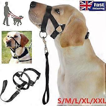 Halti Head Collar Dog Training Obedience Stop Pulling on Lead No Pull Solution