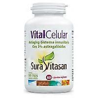 Vital Cell 60 vegetable capsules