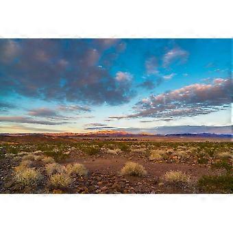 Nevada Desert Nature Landscape Cloudy Sky Jigsaw Puzzle Brain Teaser SC281