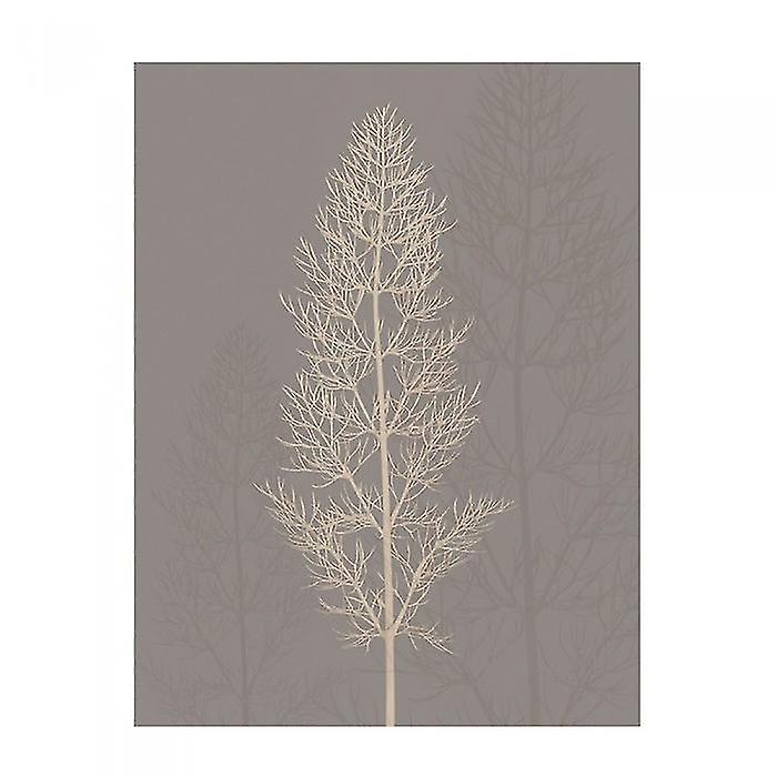 Ian Winstanley Silhouette Print