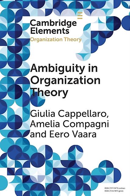 Ambiguity In Organization Theory by Eero University of Oxford Vaara Paperback Book