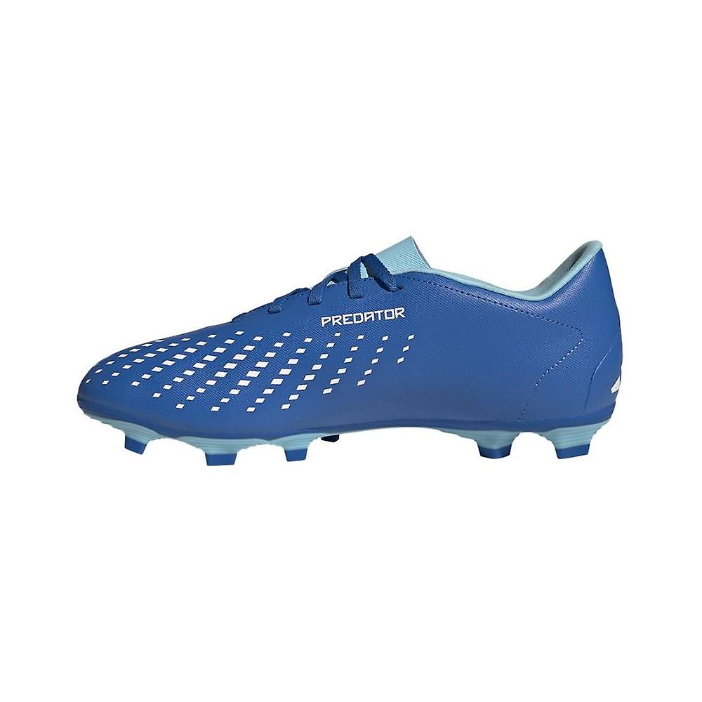 Shoes Adidas Predator Accuracy.4 Fxg MGZ0010