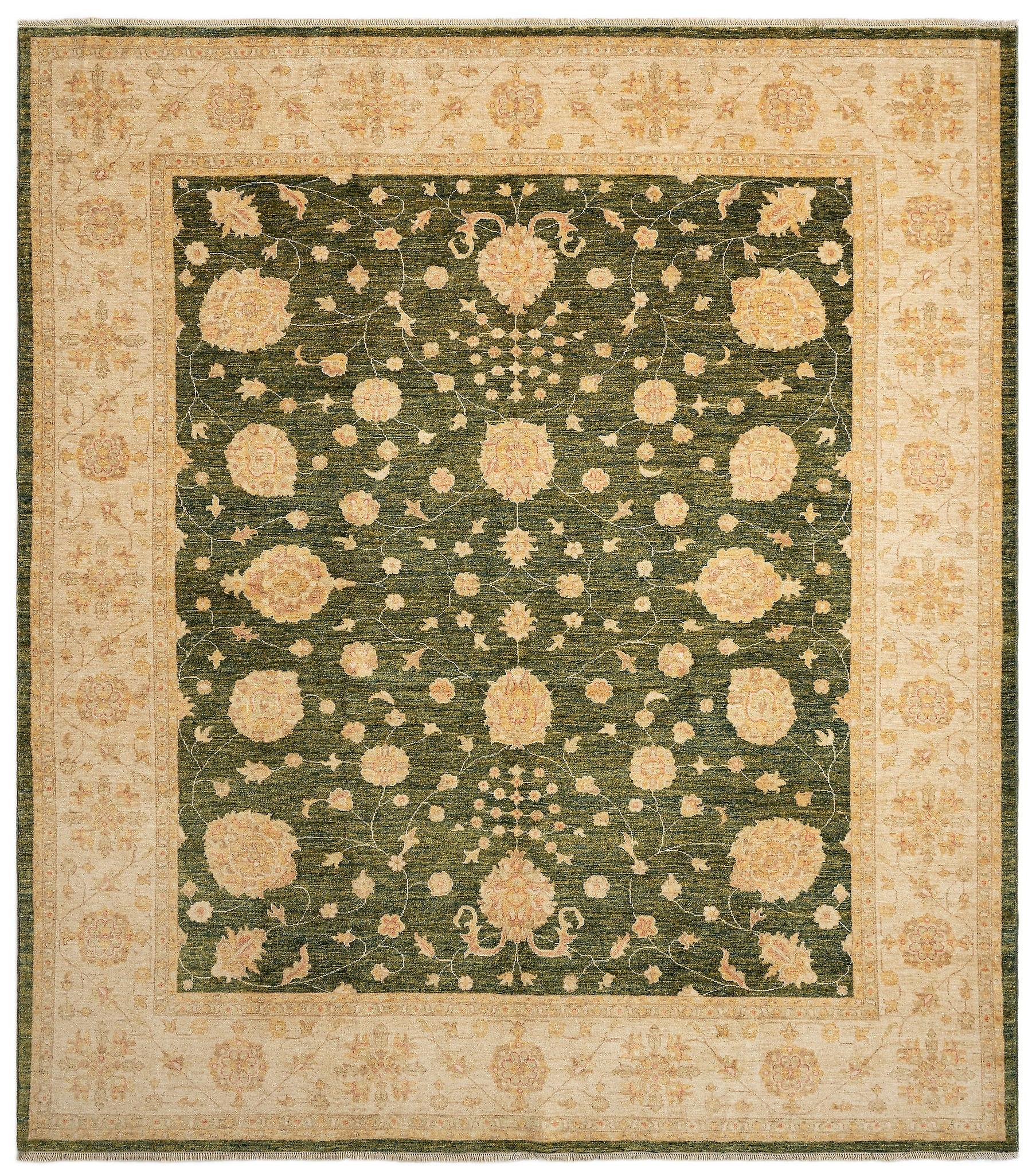 Hadorn Kaizar 252x284 带绿色手工巴基斯坦地毯